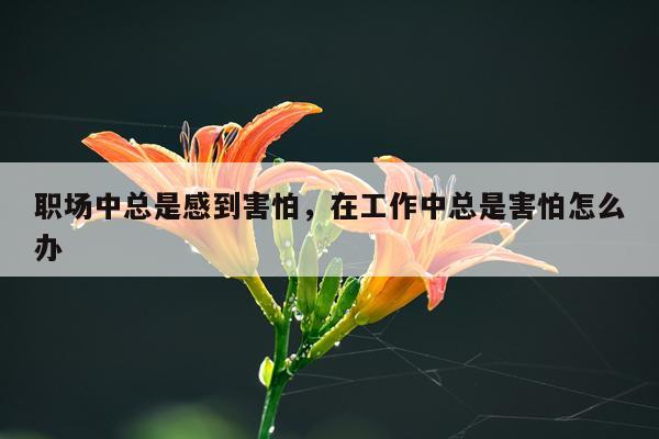 职场中总是感到害怕，在工作中总是害怕怎么办