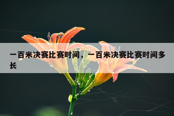 一百米决赛比赛时间，一百米决赛比赛时间多长