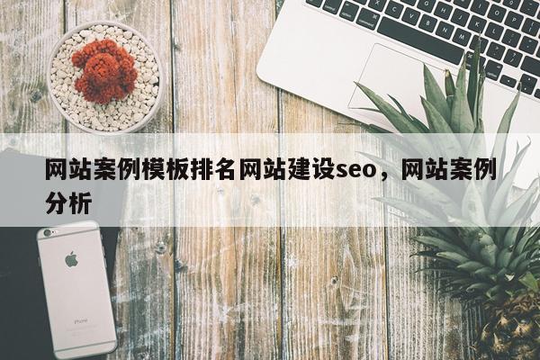 网站案例模板排名网站建设seo，网站案例分析