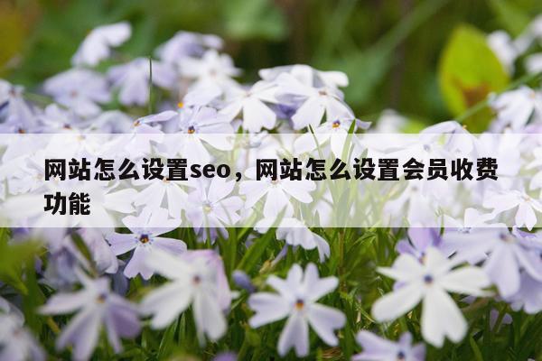 网站怎么设置seo,网站怎么设置会员收费功能