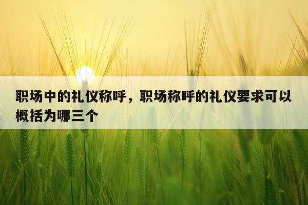 职场中的礼仪称呼，职场称呼的礼仪要求可以概括为哪三个