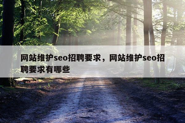 网站维护seo招聘要求，网站维护seo招聘要求有哪些