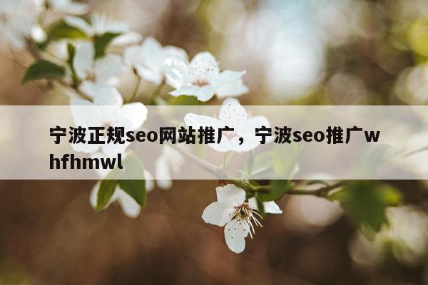 宁波正规seo网站推广,宁波seo推广whfhmwl