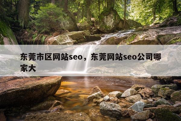 东莞市区网站seo，东莞网站seo公司哪家大