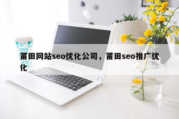莆田网站seo优化公司，莆田seo推广优化