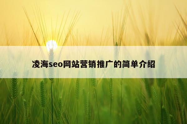 凌海seo网站营销推广的简单介绍