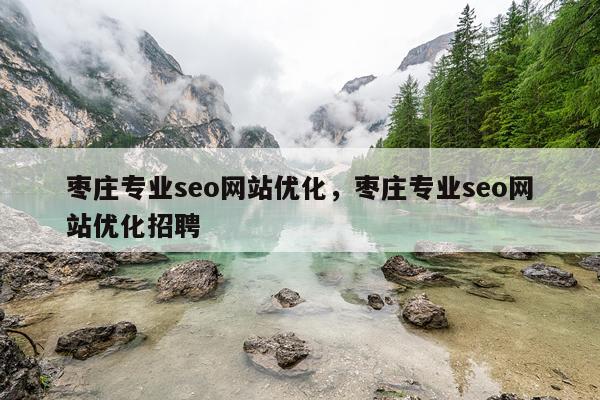 枣庄专业seo网站优化，枣庄专业seo网站优化招聘