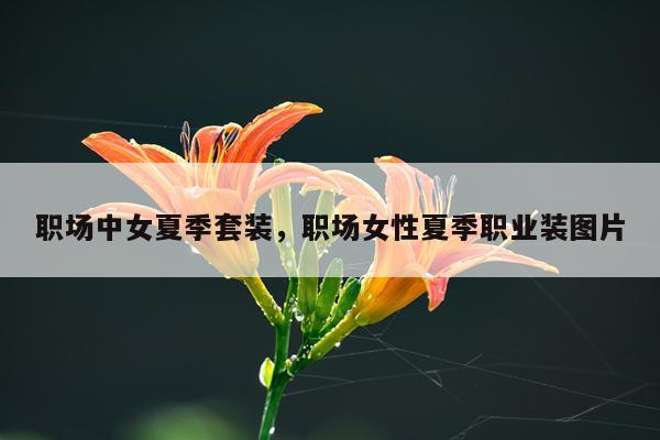 职场中女夏季套装，职场女性夏季职业装图片