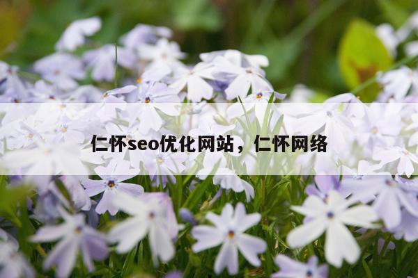仁怀seo优化网站，仁怀网络