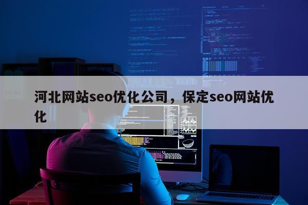 河北网站seo优化公司，保定seo网站优化