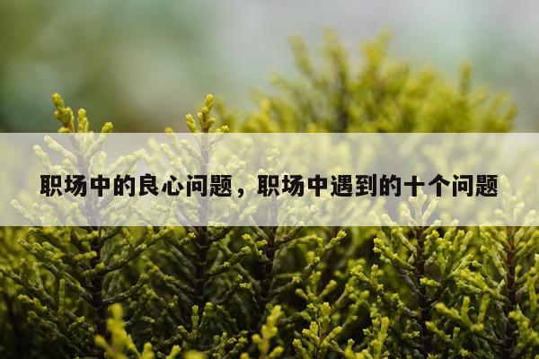 职场中的良心问题，职场中遇到的十个问题