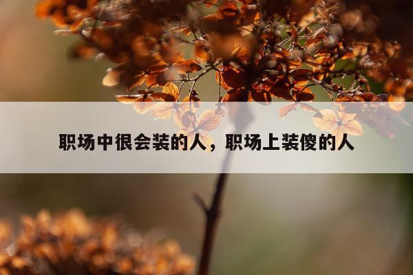 职场中很会装的人，职场上装傻的人