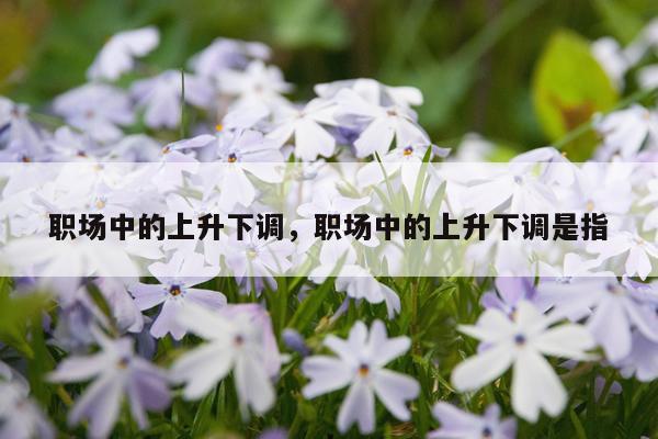职场中的上升下调，职场中的上升下调是指