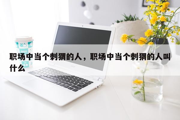 职场中当个刺猬的人，职场中当个刺猬的人叫什么