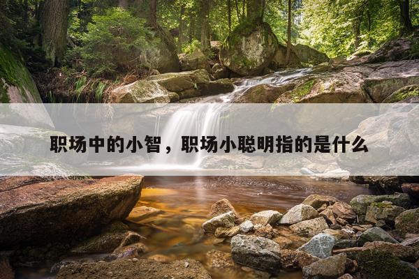 职场中的小智，职场小聪明指的是什么