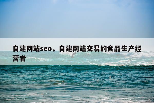 自建网站seo，自建网站交易的食品生产经营者