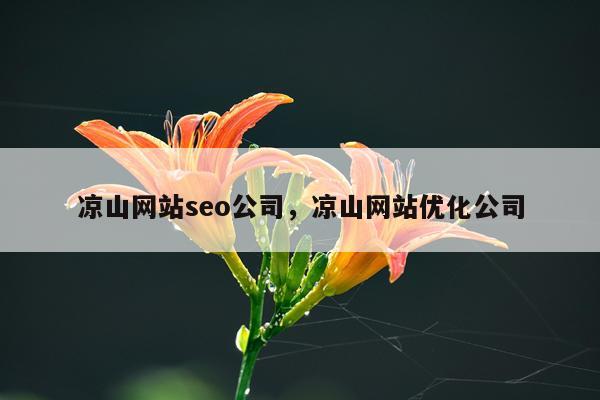 凉山网站seo公司，凉山网站优化公司