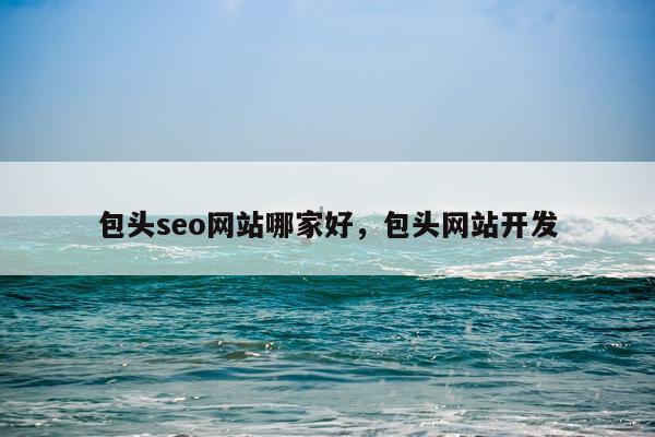 包头seo网站哪家好，包头网站开发