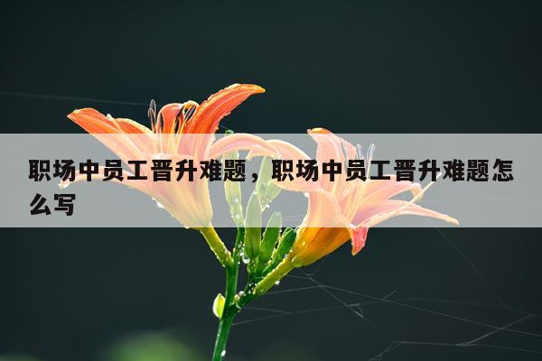 职场中员工晋升难题，职场中员工晋升难题怎么写