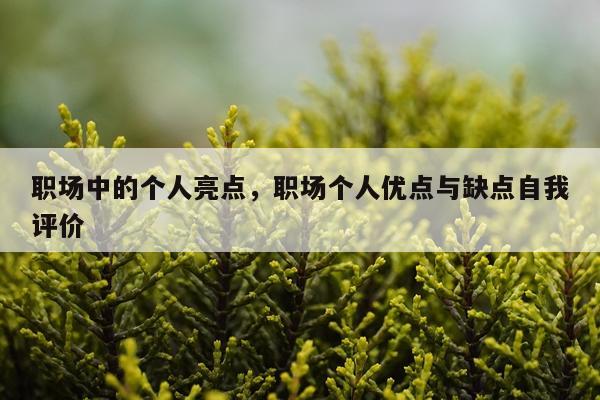职场中的个人亮点，职场个人优点与缺点自我评价