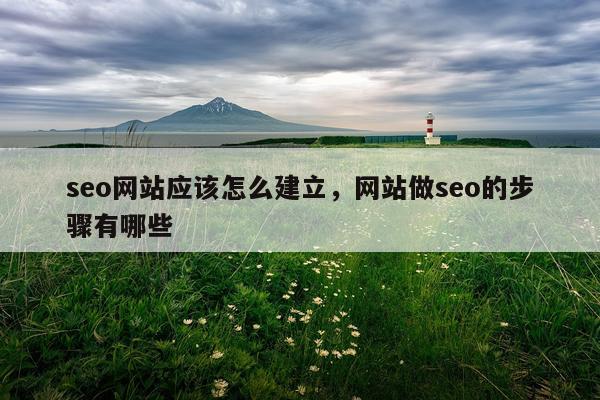 seo网站应该怎么建立,网站做seo的步骤有哪些