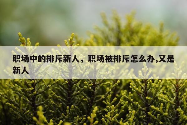 职场中的排斥新人，职场被排斥怎么办,又是新人