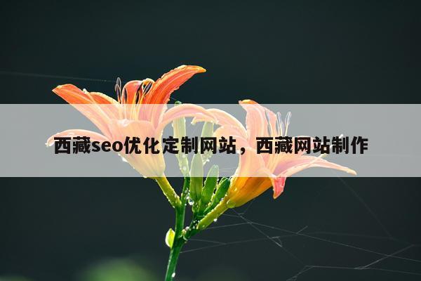 西藏seo优化定制网站,西藏网站制作