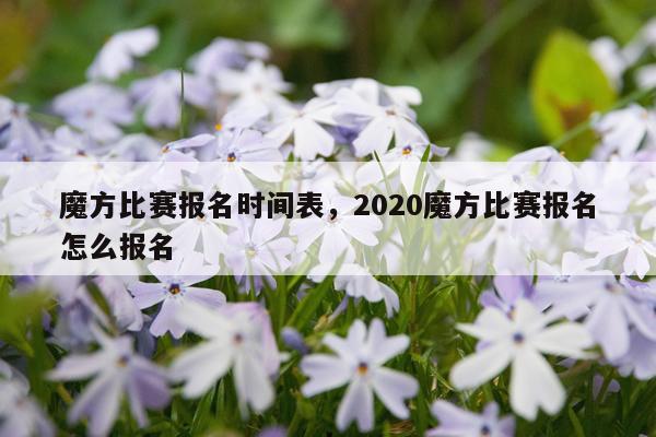 魔方比赛报名时间表,2020魔方比赛报名怎么报名