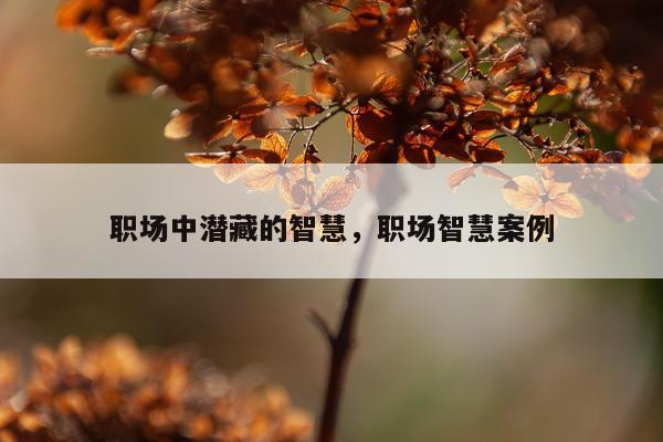 职场中潜藏的智慧，职场智慧案例