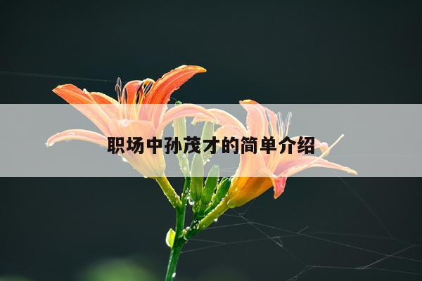 职场中孙茂才的简单介绍