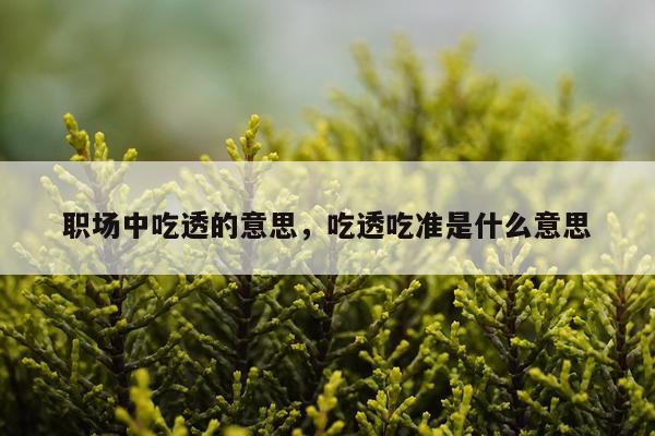 职场中吃透的意思，吃透吃准是什么意思