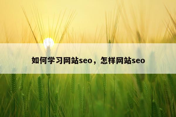 如何学习网站seo,怎样网站seo