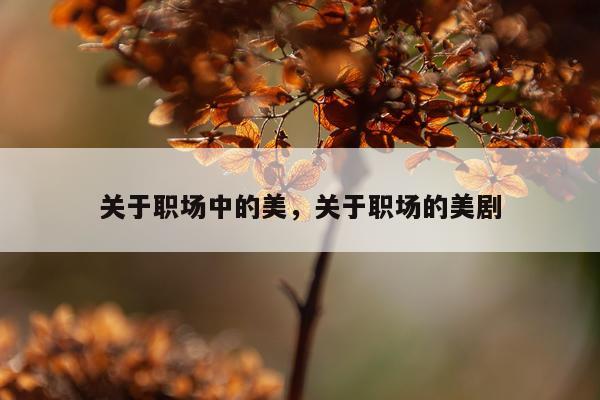 关于职场中的美，关于职场的美剧