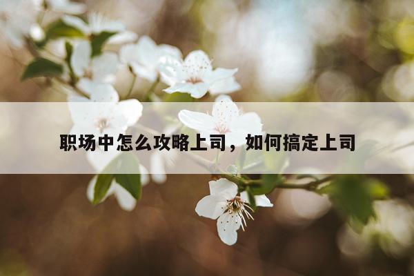 职场中怎么攻略上司，如何搞定上司