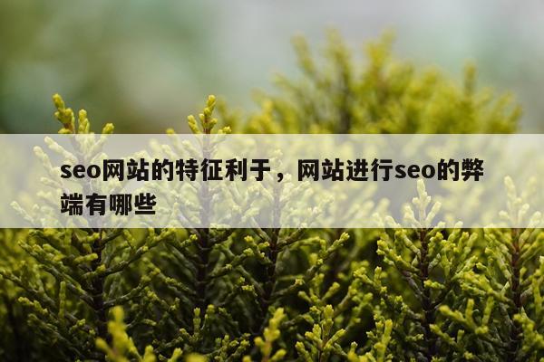 seo网站的特征利于,网站进行seo的弊端有哪些