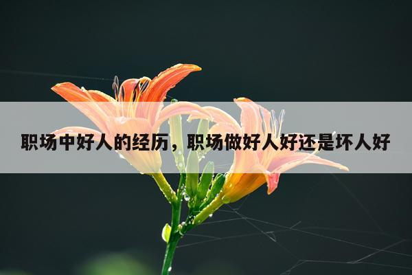 职场中好人的经历，职场做好人好还是坏人好
