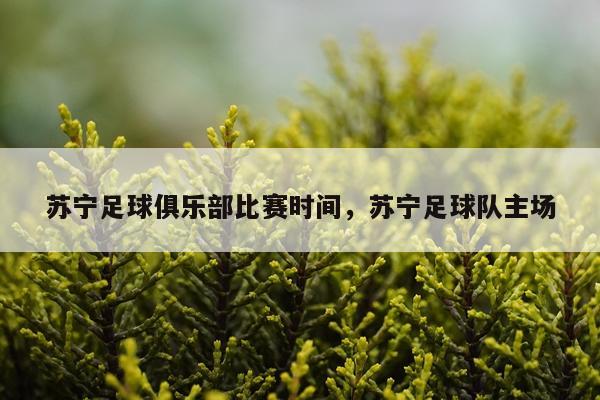苏宁足球俱乐部比赛时间,苏宁足球队主场