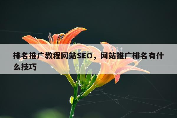 排名推广教程网站SEO,网站推广排名有什么技巧