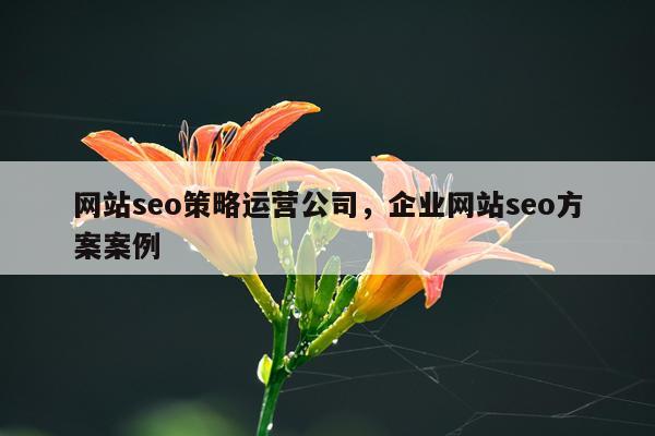 网站seo策略运营公司,企业网站seo方案案例
