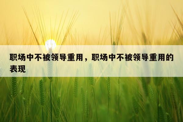 职场中不被领导重用，职场中不被领导重用的表现