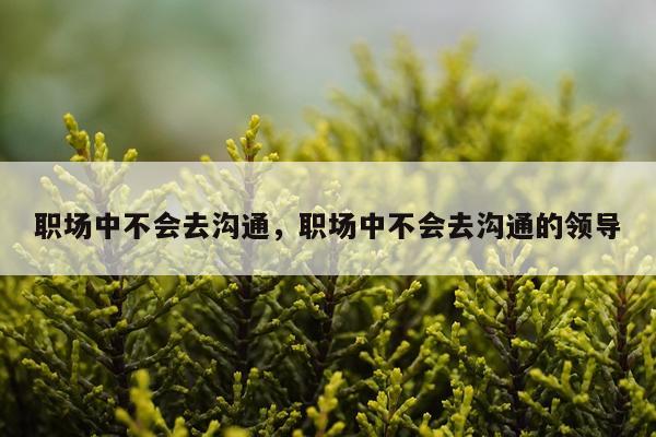 职场中不会去沟通，职场中不会去沟通的领导