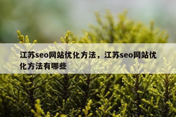 江苏seo网站优化方法,江苏seo网站优化方法有哪些