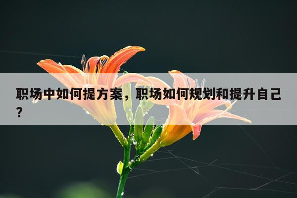 职场中如何提方案，职场如何规划和提升自己?