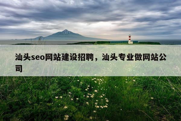 汕头seo网站建设招聘,汕头专业做网站公司