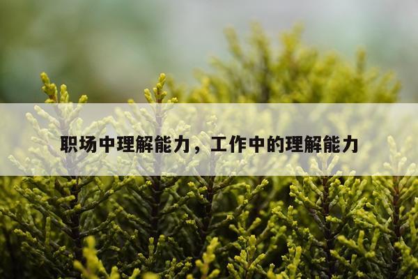 职场中理解能力，工作中的理解能力