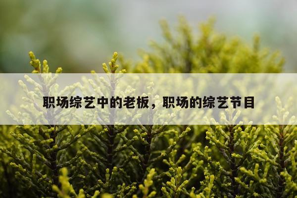 职场综艺中的老板，职场的综艺节目