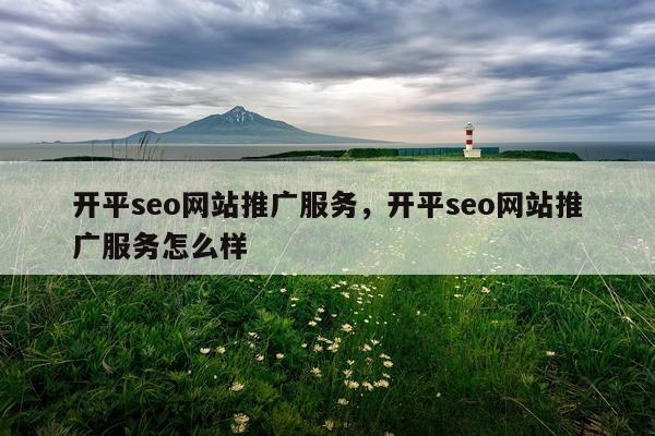 开平seo网站推广服务,开平seo网站推广服务怎么样