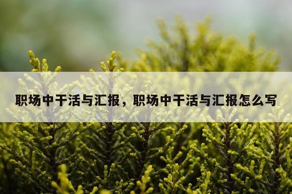 职场中干活与汇报，职场中干活与汇报怎么写