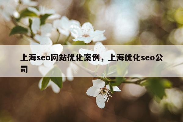 上海seo网站优化案例,上海优化seo公司