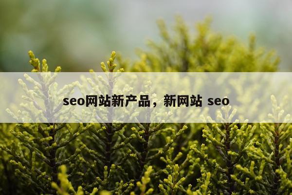 seo网站新产品,新网站 seo